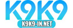 k9k9-innet