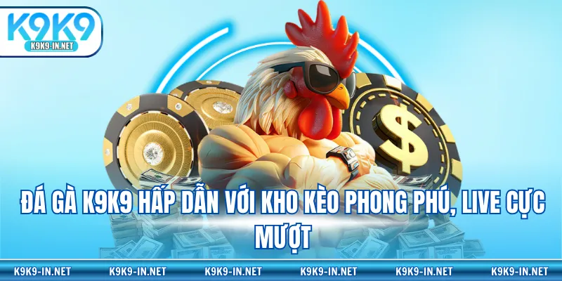 Đá gà K9K9 hấp dẫn với kho kèo phong phú, live cực mượt